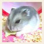 YouTubeチャンネルアイコン